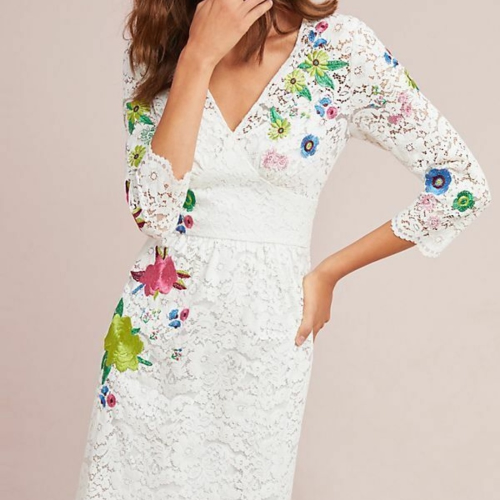 Anthropologie Adaline Lace Dress Size 10P